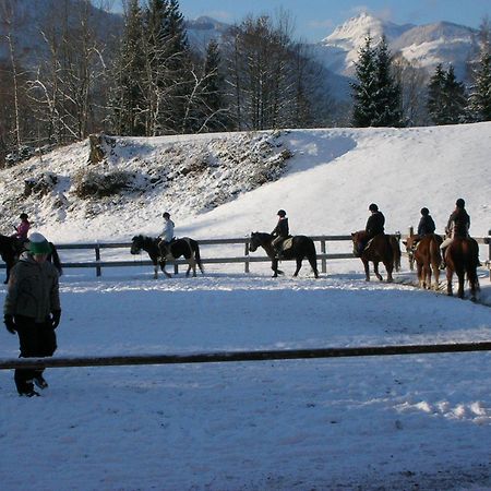 Reiterhof Suassbauer Villa Sankt Wolfgang im Salzkammergut ภายนอก รูปภาพ