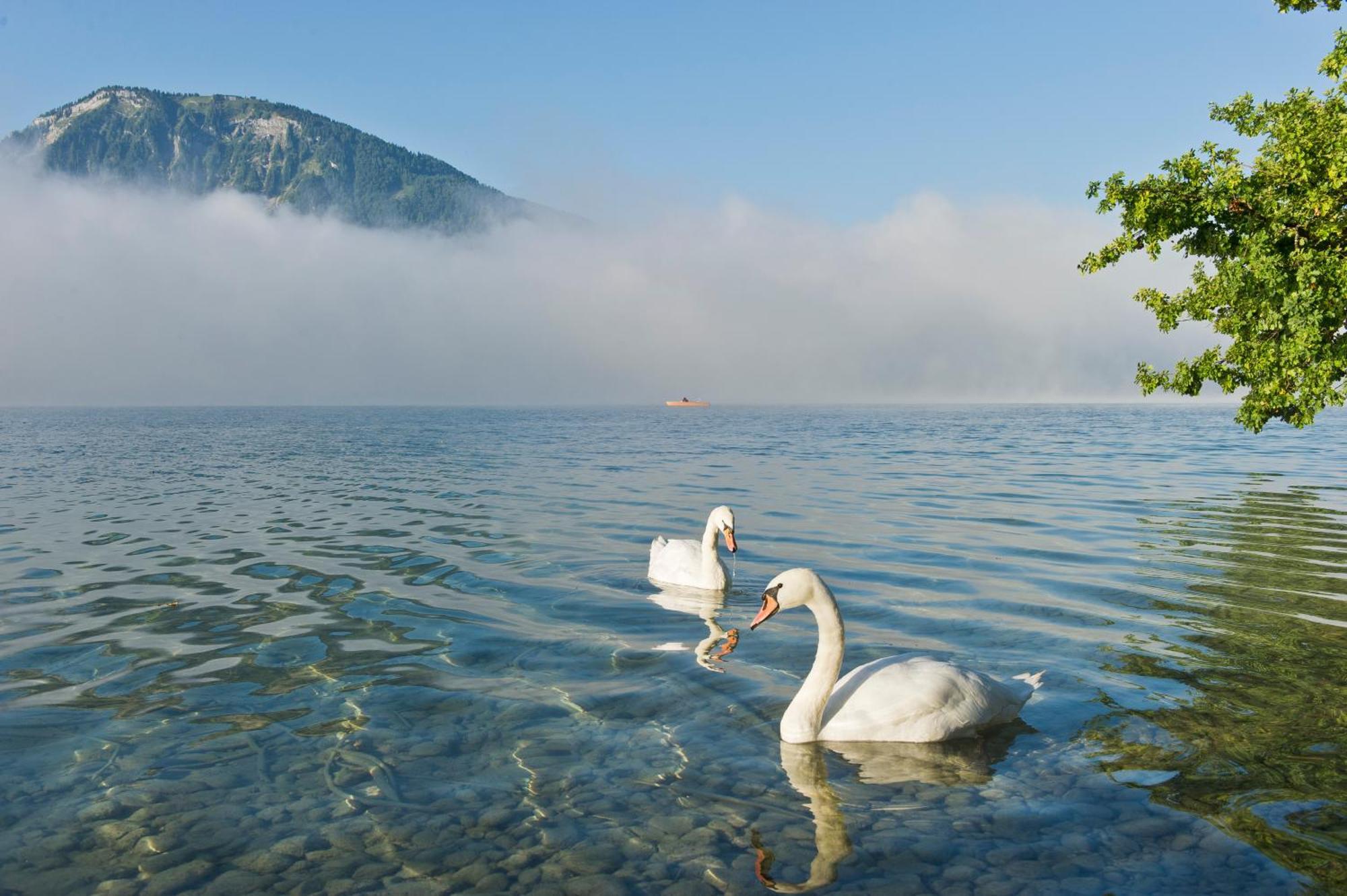 Reiterhof Suassbauer Villa Sankt Wolfgang im Salzkammergut ภายนอก รูปภาพ