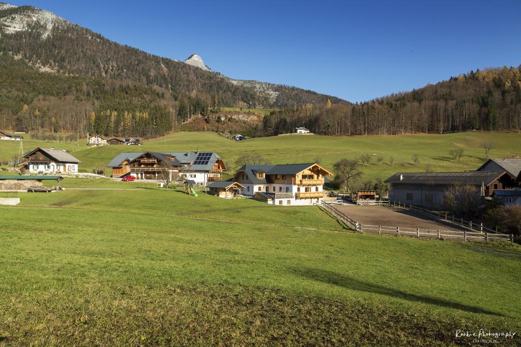 Reiterhof Suassbauer Villa Sankt Wolfgang im Salzkammergut ภายนอก รูปภาพ