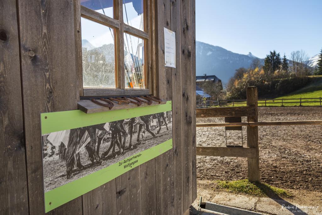 Reiterhof Suassbauer Villa Sankt Wolfgang im Salzkammergut ภายนอก รูปภาพ